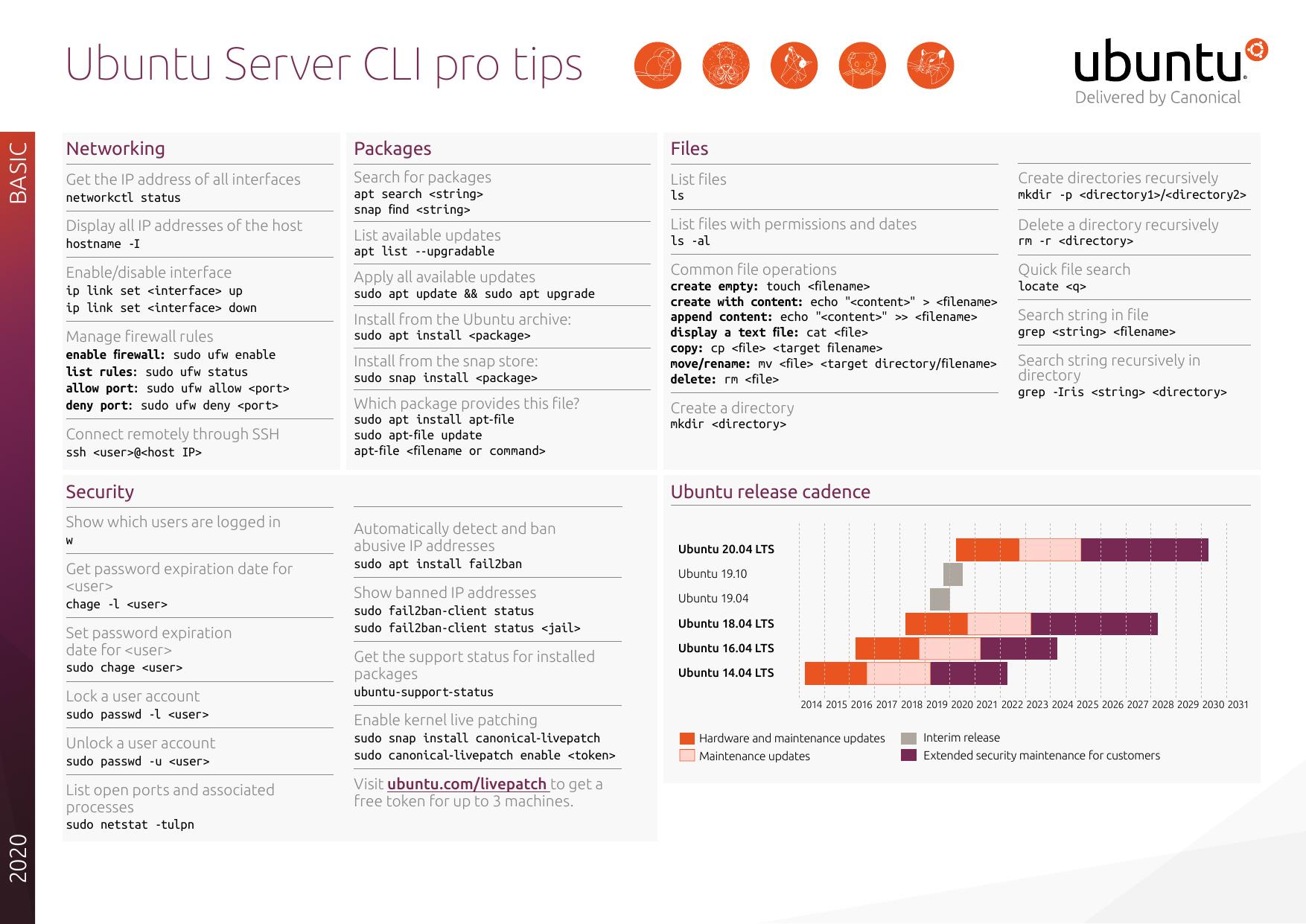 Ubuntu Server CLI pro tips
