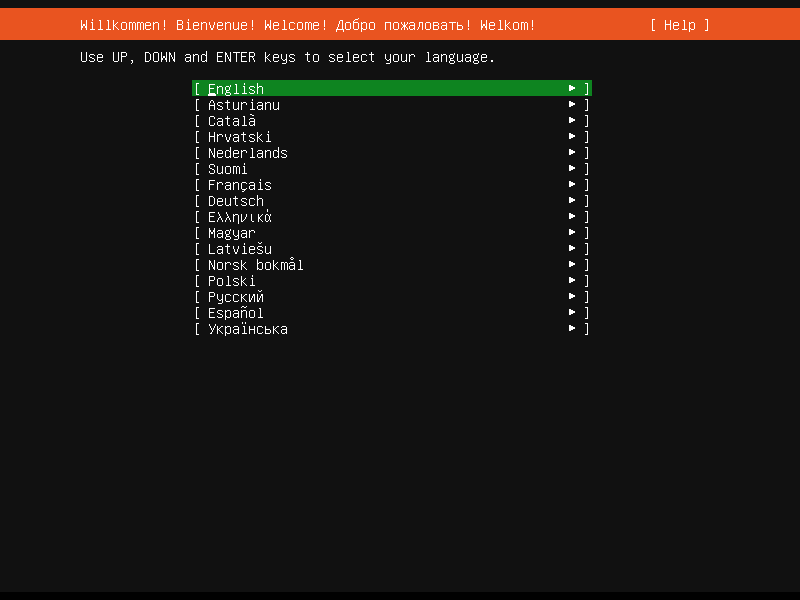 Welcome screen of the Server installer showing the language selection options