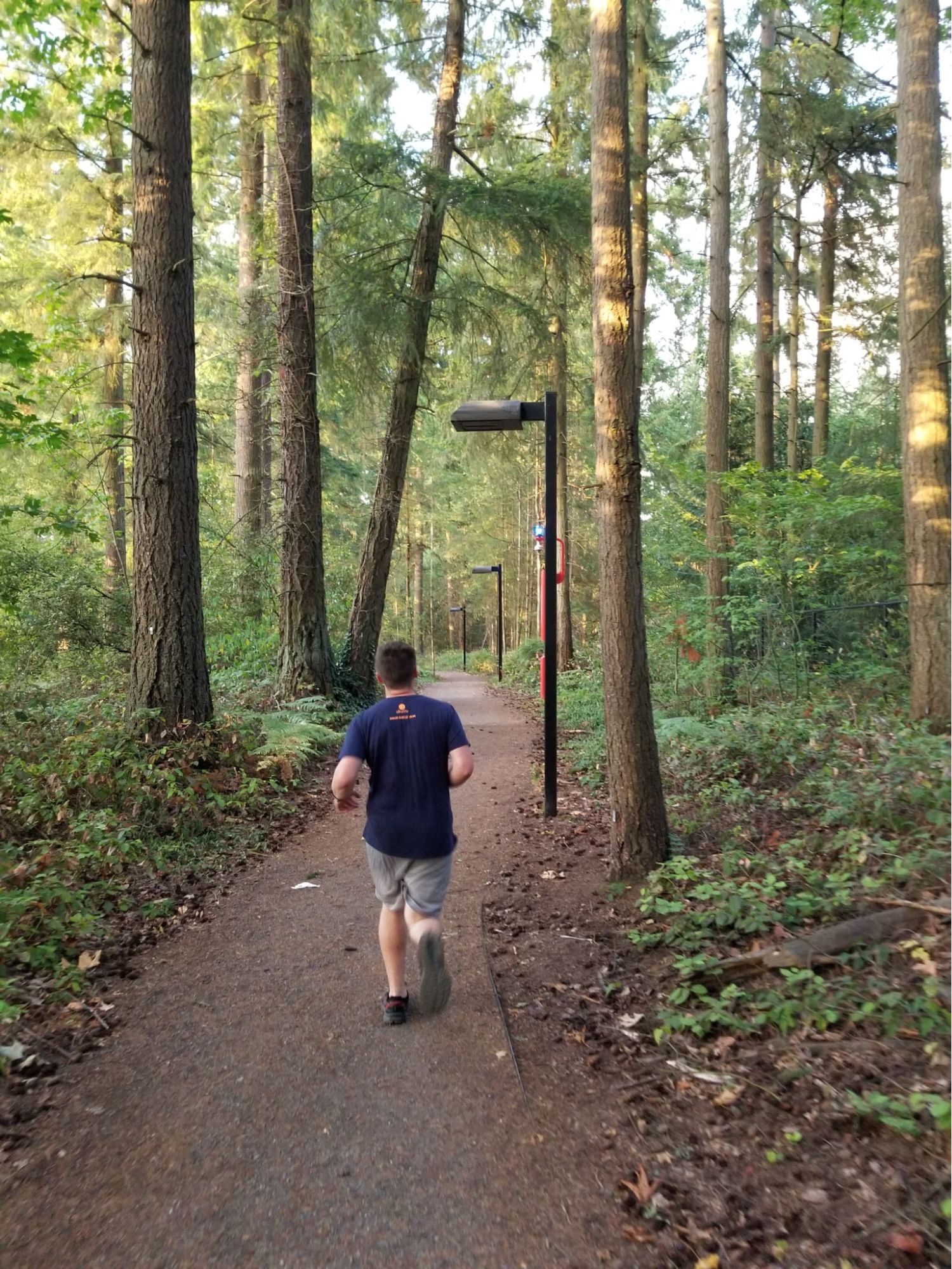 Man running along a trail through the forest near the venue